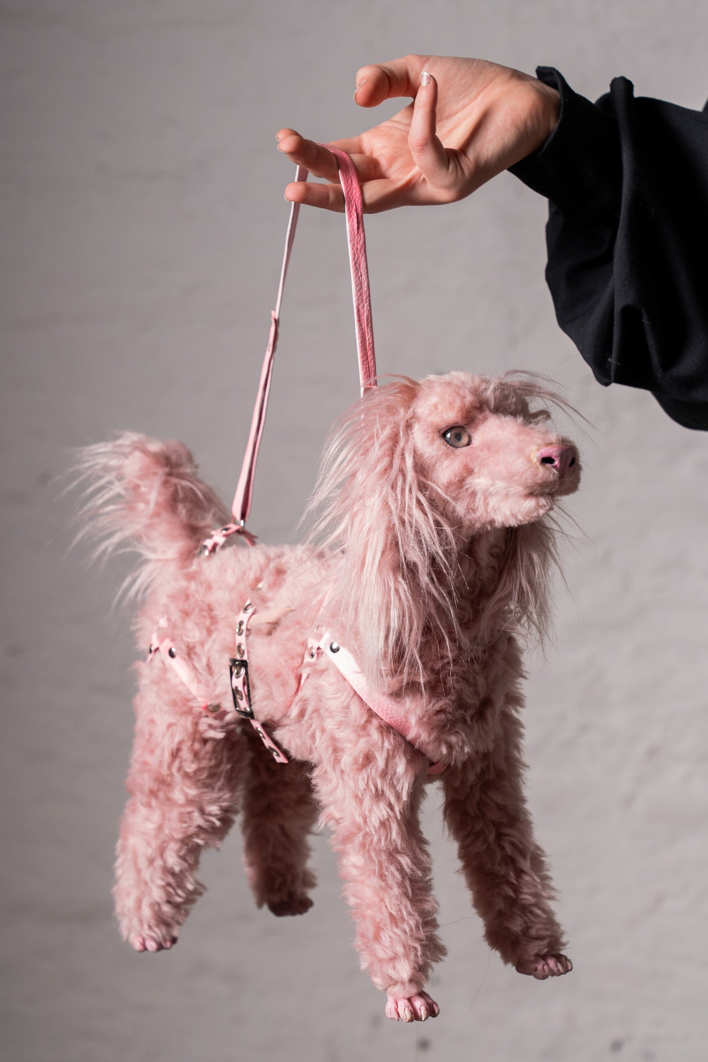 CANICHE BAG