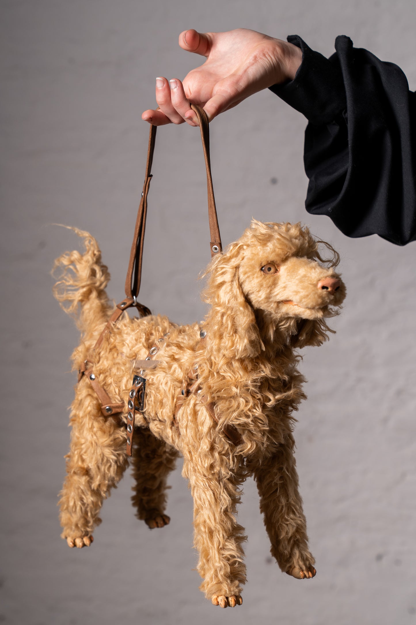 CANICHE BAG