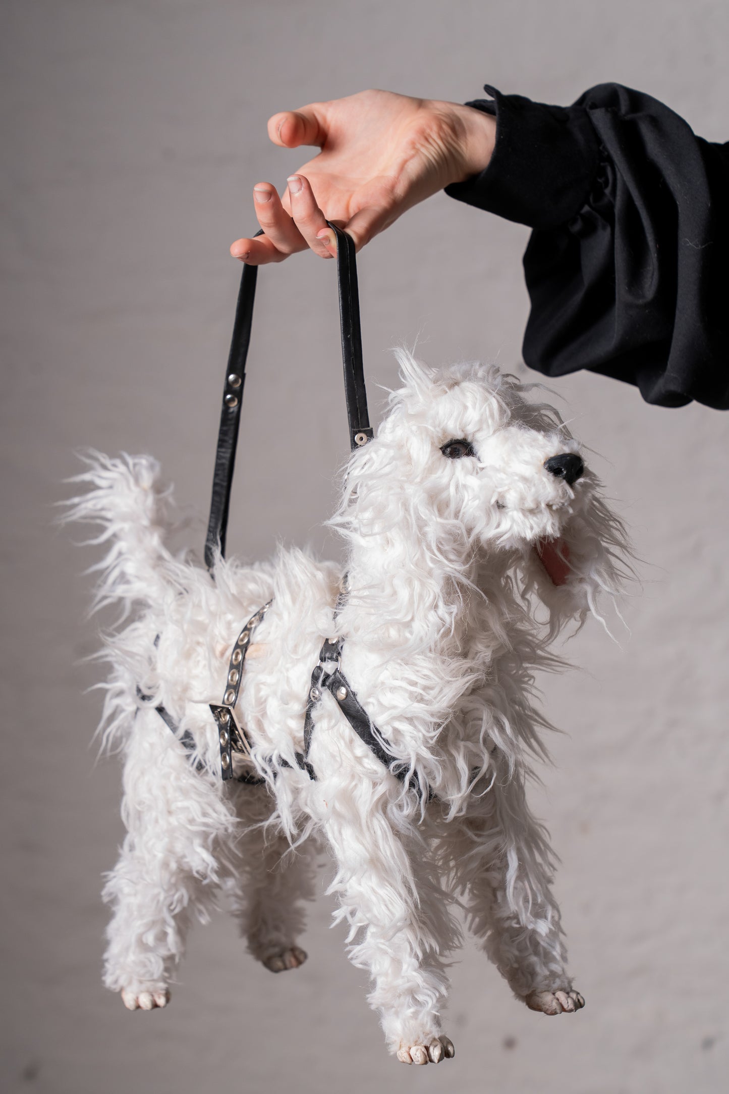 CANICHE BAG