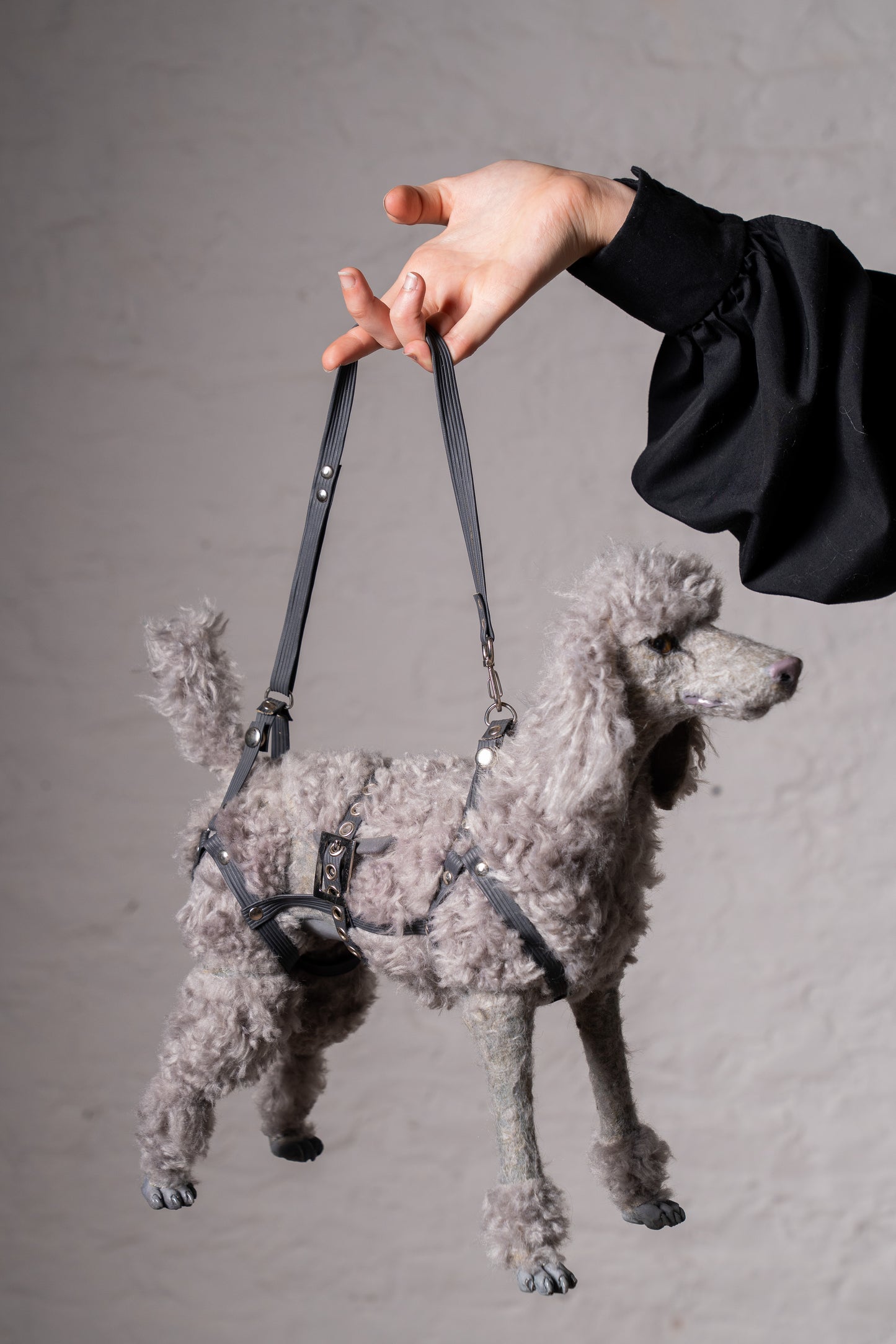 CANICHE BAG
